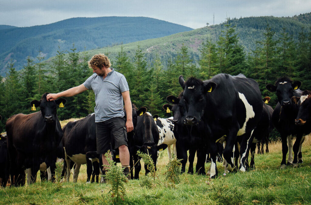 Precision Grazing – Meet the Farmer – Will Evans – For the love of farming.